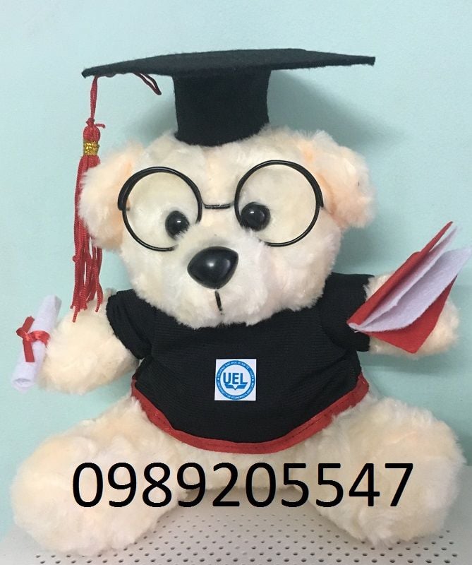 Gấu bông tốt nghiệp Đại học Kinh tế Luật chỉ 65k
