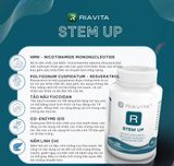  Riavita StemUP - Tế Bào Gốc NMN 