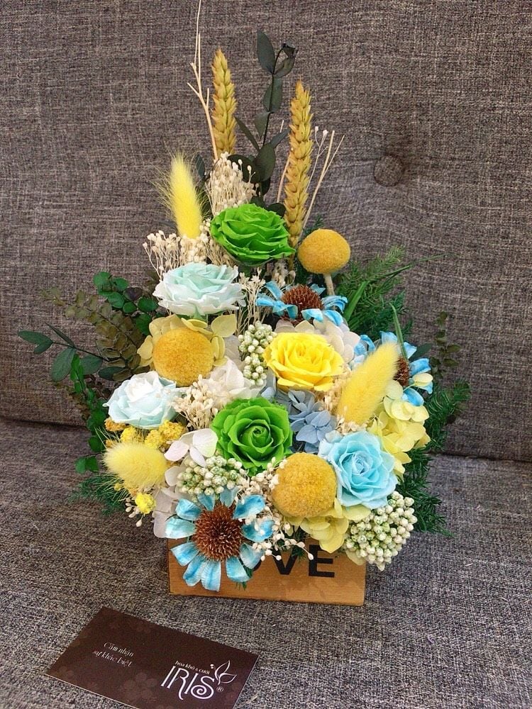 CHẬU HOA HỒNG TỈ MUỘI ĐA SẮC