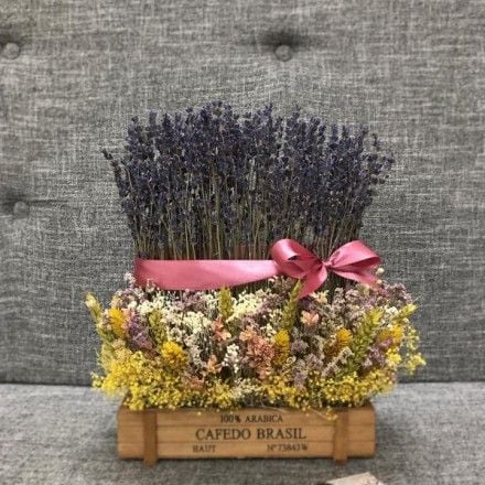 CHẬU LAVENDER XINH XẮN