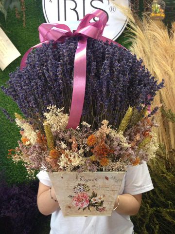 CHẬU LAVENDER SIZE LỚN