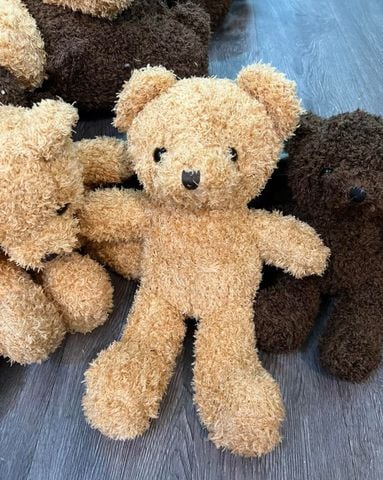 Gấu Teddy đáng yêu