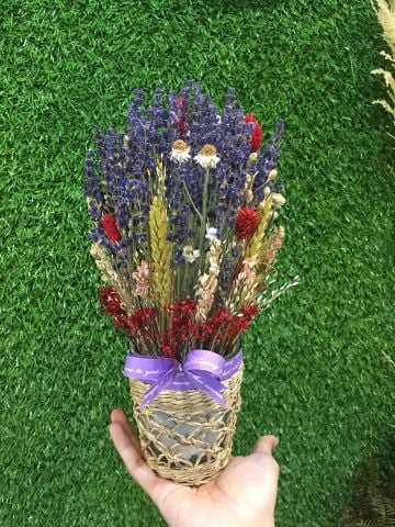 CHẬU LAVENDER KẾT HỢP