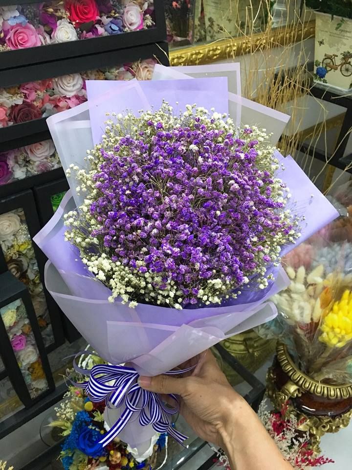 BÓ HOA BABY STAR TRẮNG VIỀN TÍM