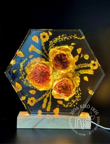 Đèn Hoa Khô Resin Khối Lục Giác