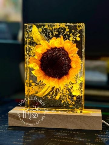 ĐÈN HOA KHÔ RESIN KHỐI CHỮ NHẬT - VUÔNG