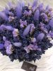 BÌNH HOA LAVENDER ĐIỂM SALEM VÀ ĐUÔI THỎ TÍM