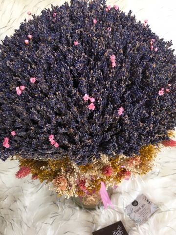 CHẬU LAVENDER SIZE KHỦNG