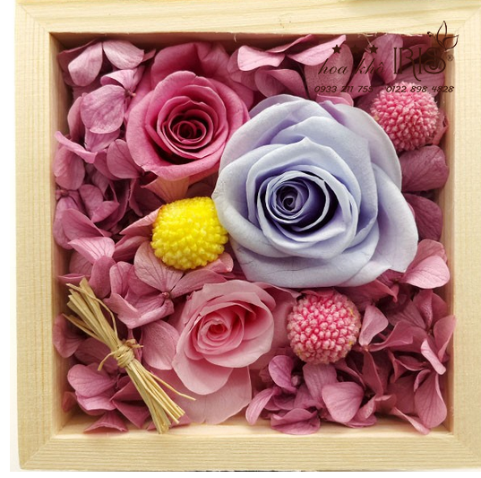 HỘP HOA HỒNG TÍM HỒNG VĨNH CỬU