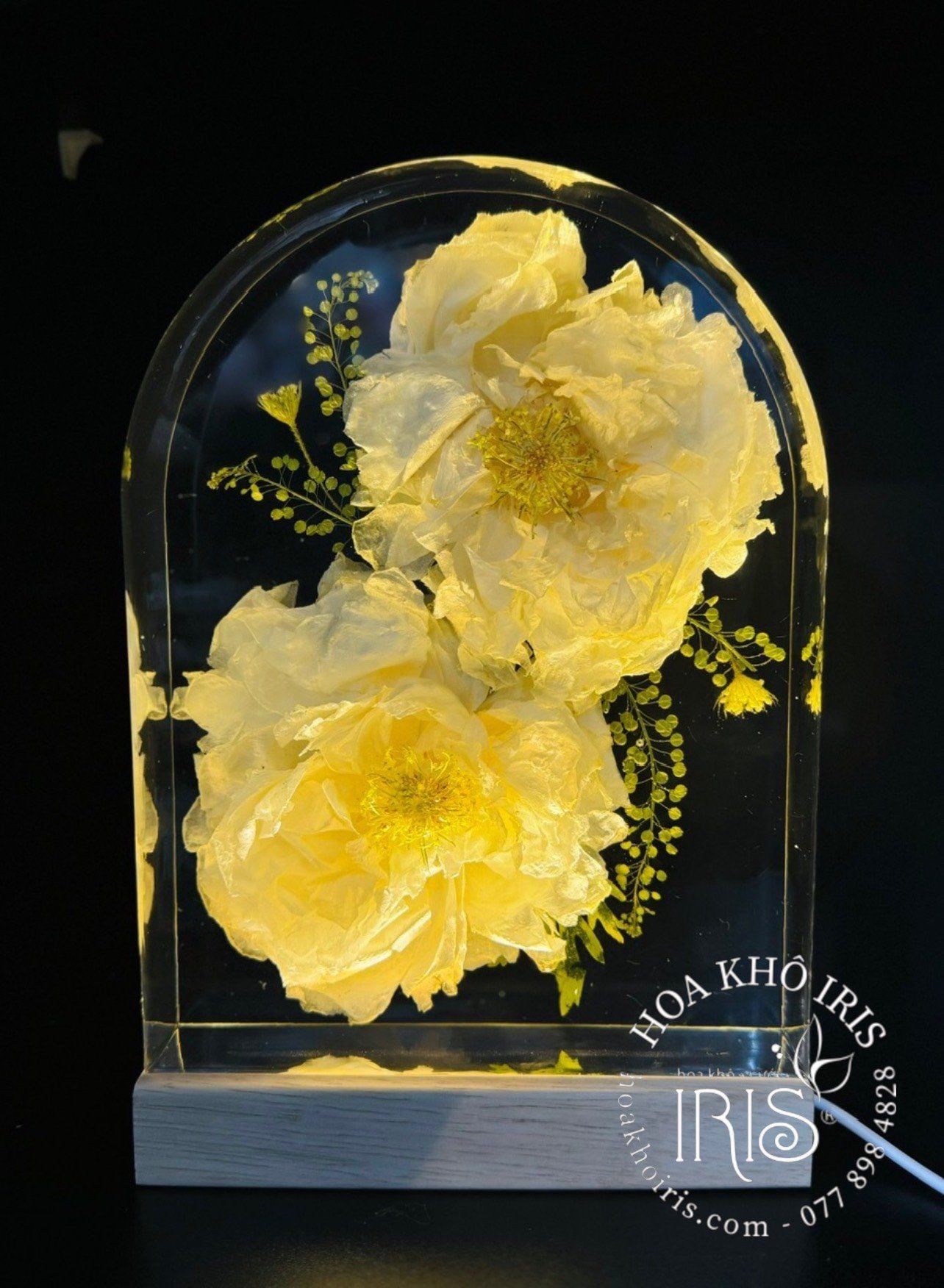 ĐÈN HOA KHÔ RESIN KHỐI VÒM