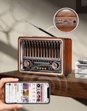 ĐÀI RADIO  VỎ GỖ GOLDYIP RA-401