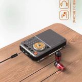 ĐÀI RADIO NGHE NHẠC MP3 CAO CẤP MALATA A53