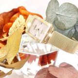  CITIZEN NỮ EM0493-85P E-CO DRIVE CHÍNH HÃNG 
