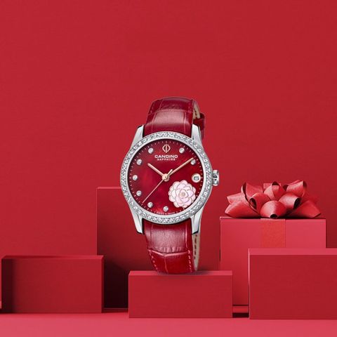  Đồng hồ Nữ Candino Lady Elegance C4721/2 