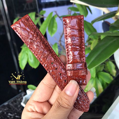  DÂY DA CÁ SẤU S22*20 