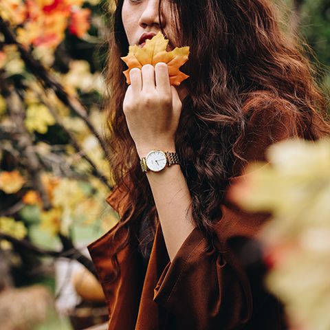  SRWATCH NỮ SL8702.1402 CHÍNH HÃNG 