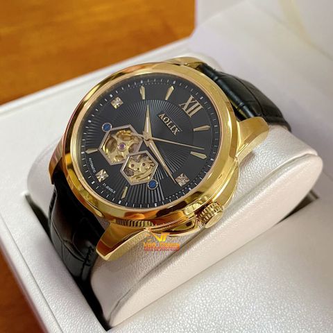  ĐỒNG HỒ NAM AOLIX AL3024G AUTOMATIC CHÍNH HÃNG 
