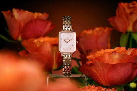  ĐỒNG HỒ NỮ DANIEL WELLINGTON DW00100621 CHÍNH HÃNG 
