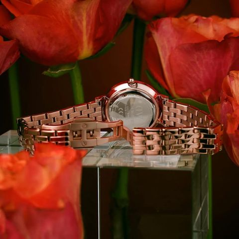  ĐỒNG HỒ NỮ DANIEL WELLINGTON DW00100617 CHÍNH HÃNG 