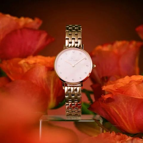  ĐỒNG HỒ NỮ DANIEL WELLINGTON DW00100617 CHÍNH HÃNG 