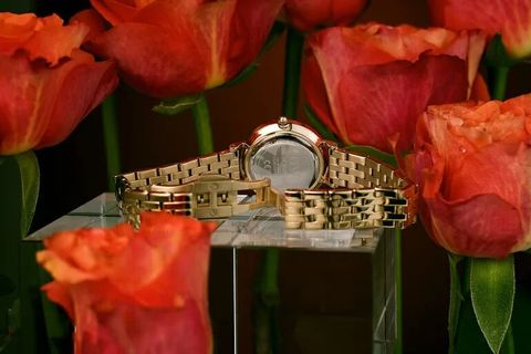  ĐỒNG HỒ NỮ DANIEL WELLINGTON DW00100614 CHÍNH HÃNG 