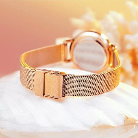  ĐỒNG HỒ NỮ DANIEL WELLINGTON DW00100528 CHÍNH HÃNG 