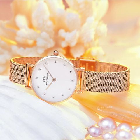  ĐỒNG HỒ NỮ DANIEL WELLINGTON DW00100528 CHÍNH HÃNG 