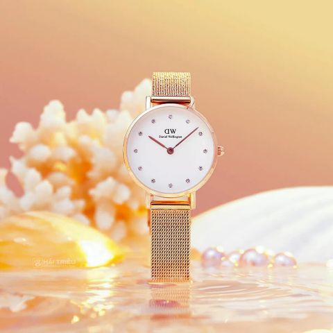  DANIEL WELLINGTON NỮ DW00100528 CHÍNH HÃNG 