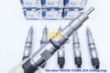Kim Phun Bosch Yuchai YC6MK_EU4