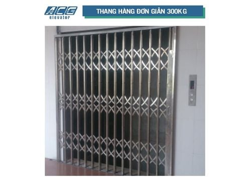 Thang tời hàng đơn giản 300kg