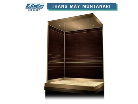 Thang máy tải khách Montanari 450kg/7stop