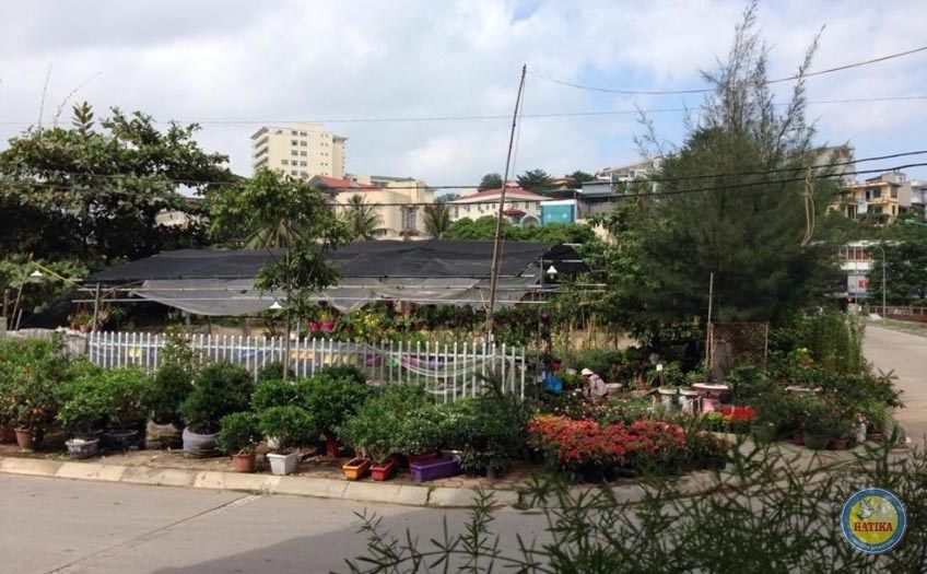 Hạ Long Park Hotel