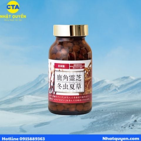 Đông trùng hạ thảo Ganoderma Kazuno Cordyceps cao cấp của Nhật Bản