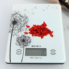 Cân Điện Tử Mini Làm Bánh WH-B13