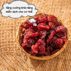 100g Nam việt quất khô (cranberry)