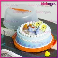 Khay nhựa đựng bánh có tay xách 30cm