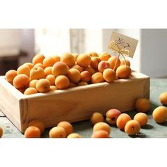 Nước Chiết Xuất Trái Mơ Đậm Đặc Dùng Nấu Ăn Hàn Quốc Beksul (1.025kg)