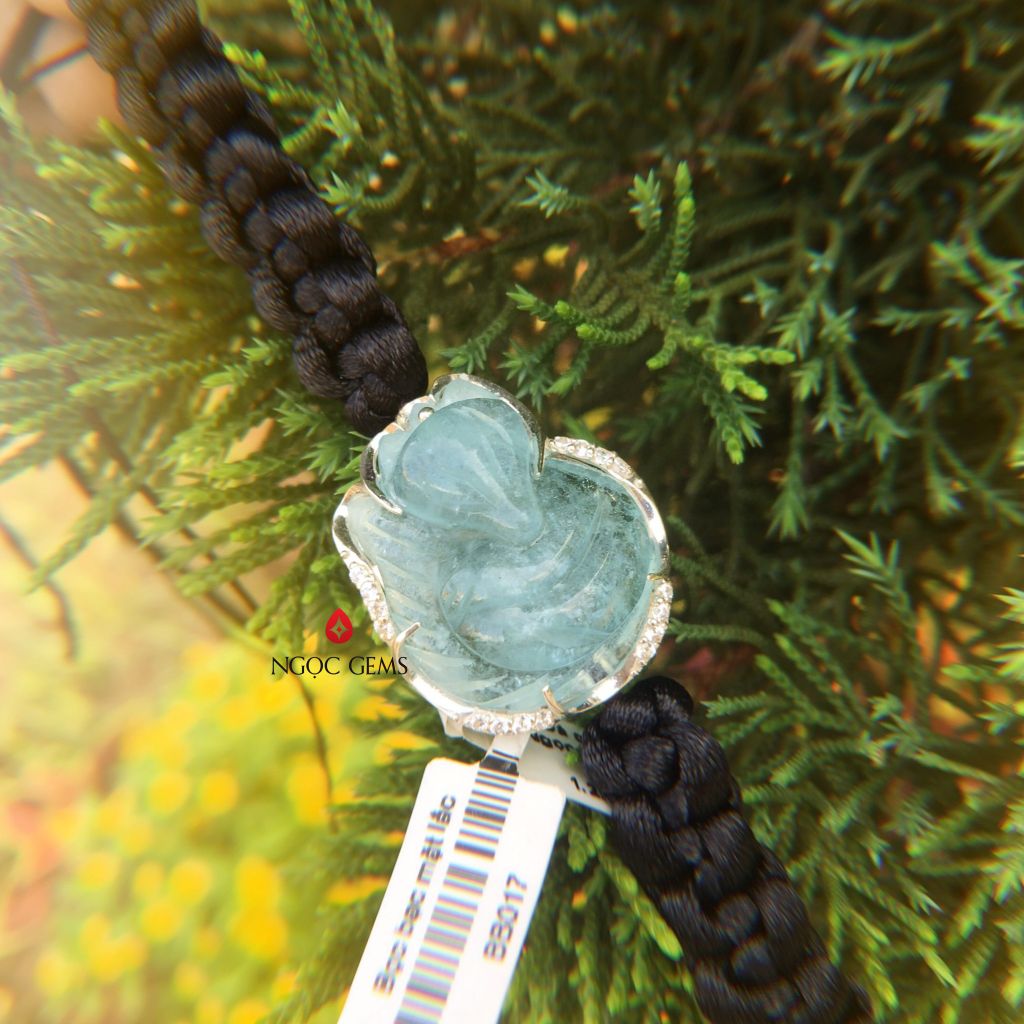 Hồ Ly Aquamarine A