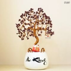 Cây Tài Lộc Garnet - size nhỡ - thân đồng