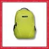 B2B300_02 WILDLIME