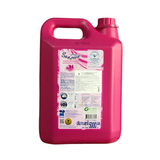 Nước Giặt Xả Đậm Đặc Sanzoft Hương Hoa 6in1 5L