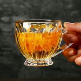 Ly Thủy Tinh Có Quai DM203