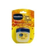 Dưỡng môi Vaseline 7g