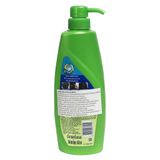 Dầu Gội Rejoice Anti Dandruff Tinh Dầu Bạc Hà Giảm Gàu 450ml