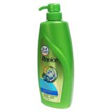 Dầu Gội Rejoice Anti Dandruff Tinh Dầu Bạc Hà Giảm Gàu 450ml