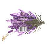 Bath Boom Herbcare Hương Lavender 70g