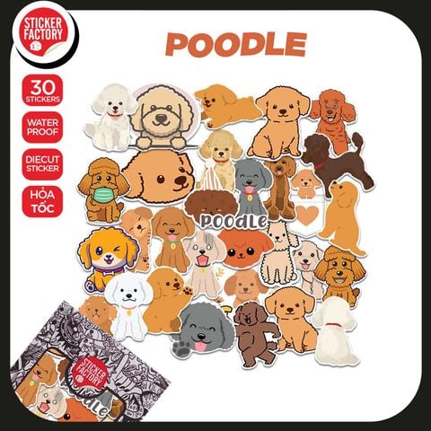  Poodle Dog - Set 30 sticker hình dán 