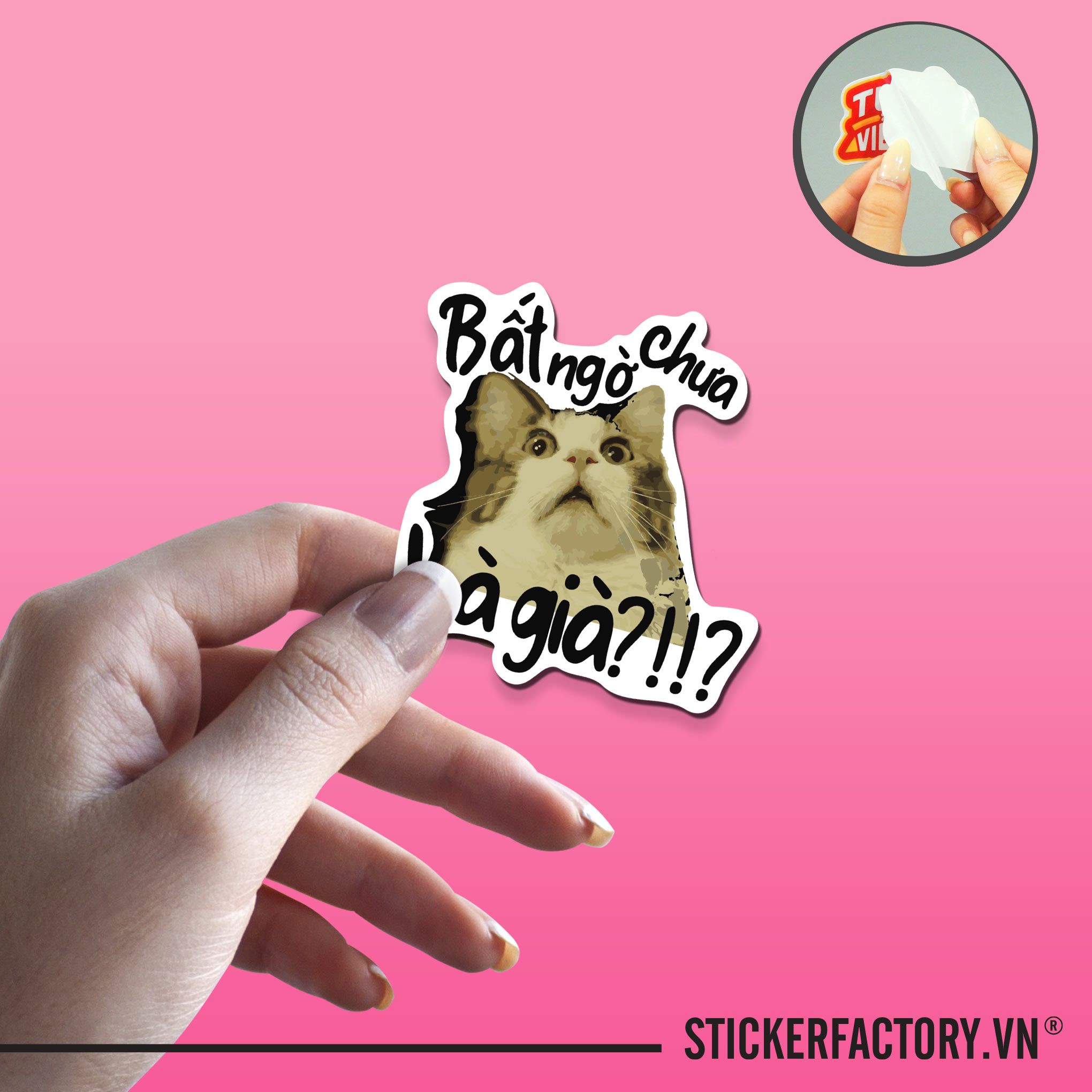 BẤT NGỜ CHƯA BÀ GIÀ 7cm - Sticker Die-cut hình dán cắt rời