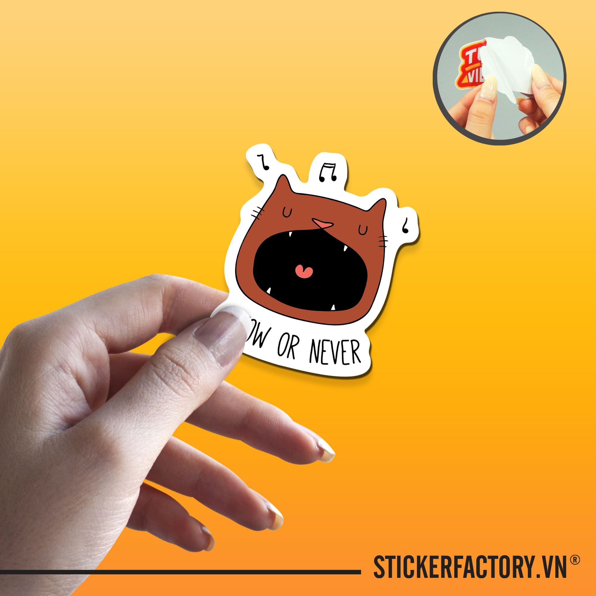 MEOW OR NEVER CAT 7cm - Sticker Die-cut hình dán cắt rời