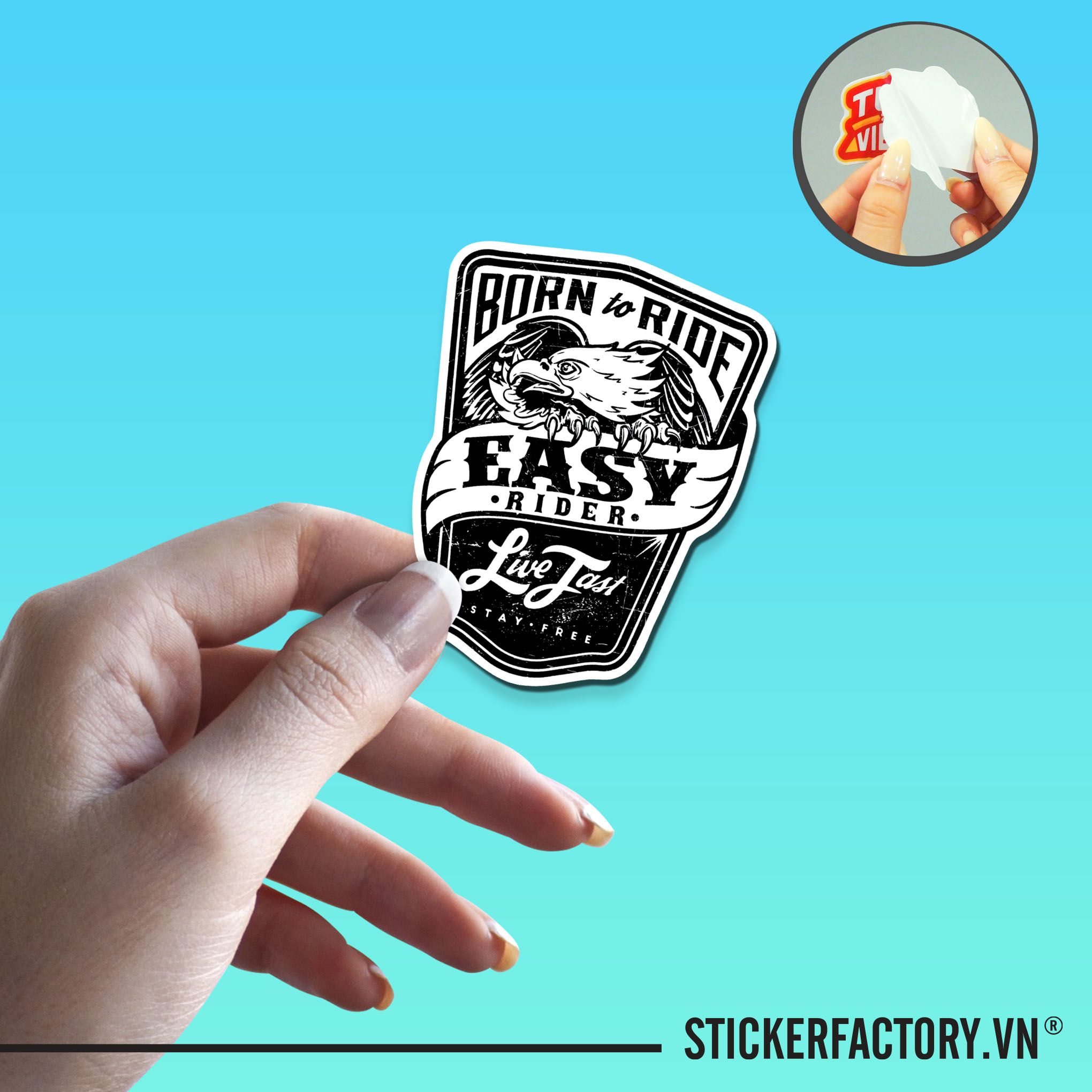EASY RIDER EAGLE 7cm - Sticker Die-cut hình dán cắt rời